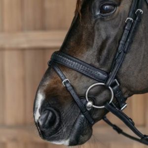 Dy'on New English Collection Plaited Medium Noseband with Pull-back