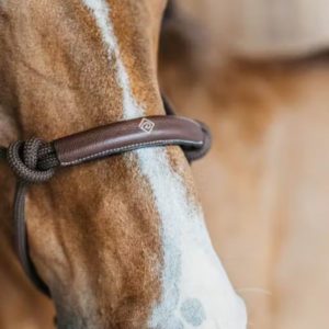 Dy'on Training Halter