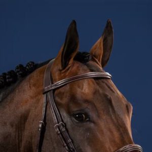 Dy'on US Hunter Collection Cavesson Noseband Bridle