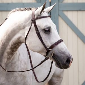 Dy'on US Hunter Collection Wide Noseband Hunter Bridle