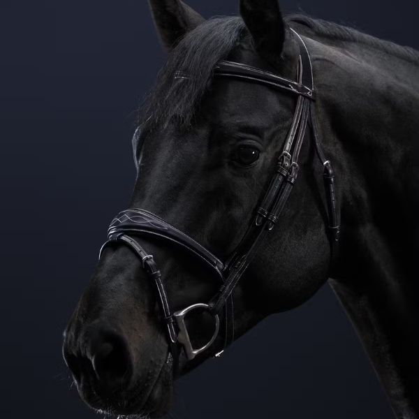 Dy'on US Jumping Collection Anatomic Flash Noseband Bridle - Image 3