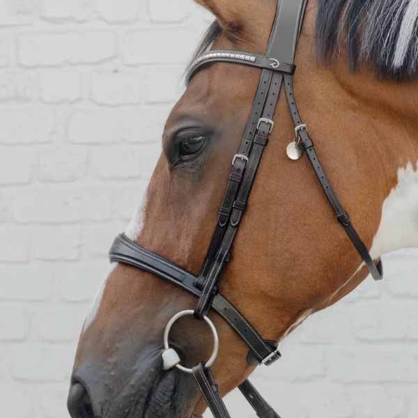 Dy'on US Jumping Collection Anatomic Noseband Without Flash - Image 2