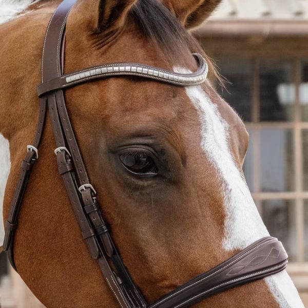 Dy'on US Jumping Collection Anatomic Noseband Without Flash - Image 3