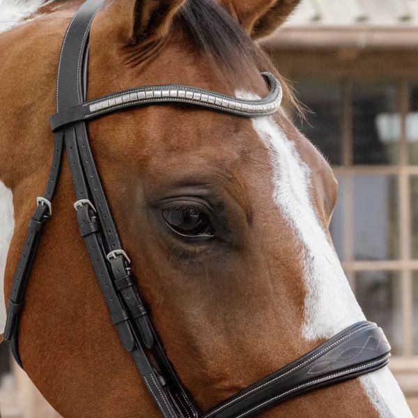 Dy'on US Jumping Collection Anatomic Noseband Without Flash - Image 4