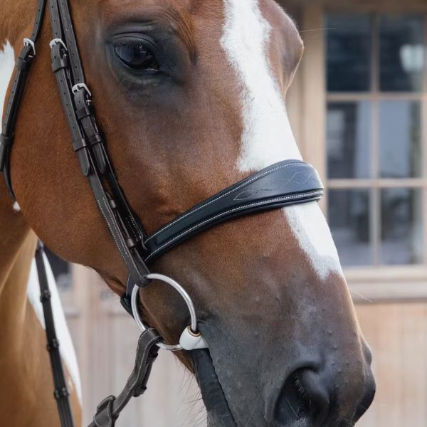 Dy'on US Jumping Collection Anatomic Noseband Without Flash - Image 5