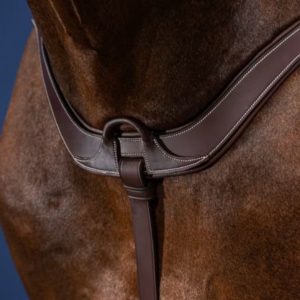 Dy'on US Jumping Collection Anatomical Breastplate