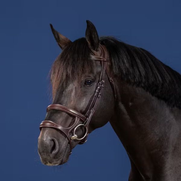 Dy'on US Jumping Collection Double Noseband Bridle - Image 2