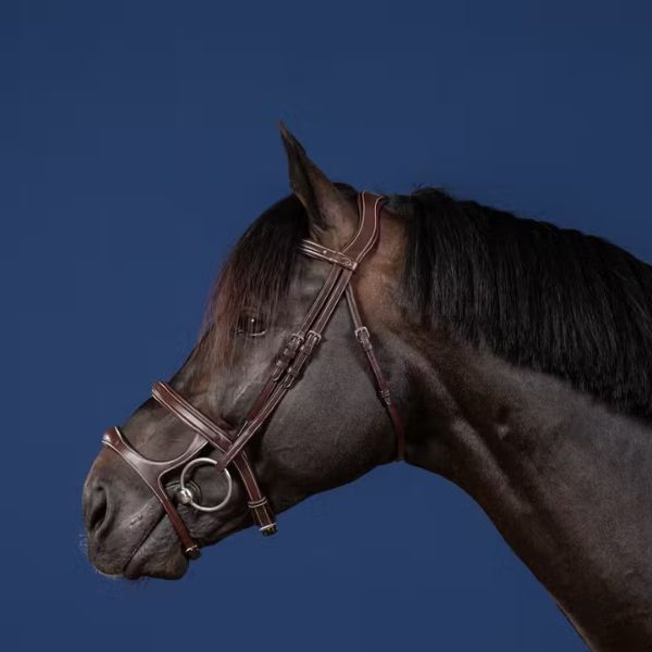 Dy'on US Jumping Collection Double Noseband Bridle - Image 3