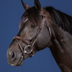 Dy'on US Jumping Collection Flash Noseband Bridle