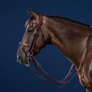 Dy'on US Jumping Collection Flash Noseband Double Bridle