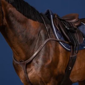 Dy'on US Jumping Collection Long Bridge Breastplate