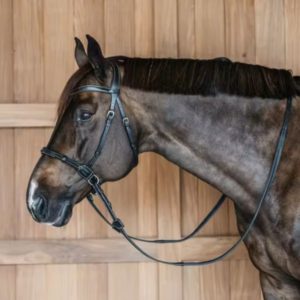 Dy'on Working Collection Bitless Bridle