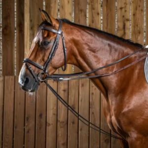 Dy'on Working Collection Full Leather Draw Reins 1/2"