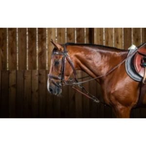 Dy'on Working Collection Gogue Nylon Ropes