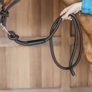 Dy'on Working Collection Lead with Removable Snap