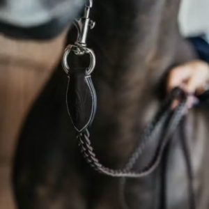 Dy'on Working Collection Plaited Lead