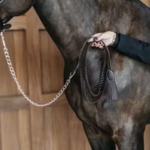 Dy'on Working Collection Plaited Lead with Chain