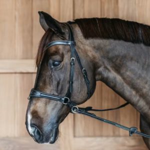 Dy'on Working Collection Working Motion Bridle