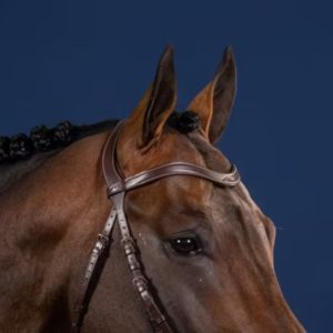 Dy'on US Jumping Collection Flat Leather V-Shaped Browband
