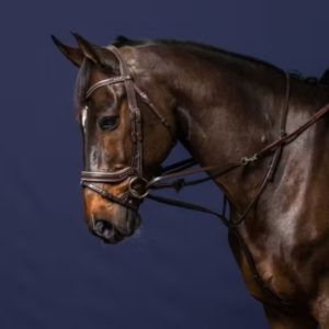 Dy'on Working Collection Full Howlett