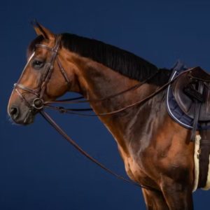 Dy'on US Jumping Collection Full Leather Draw Reins 1/2"