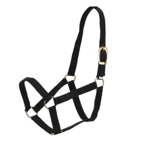 GG stable halter