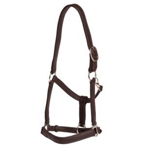 Jeremy and Lord soft touch leather halter
