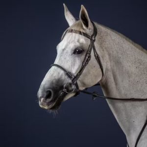 Dy'on New English Collection Leather Covered Rope Noseband Bridle