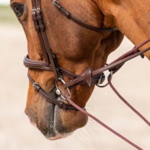 Dy'on New English Collection Leather/Nylon Draw Reins 5/8"