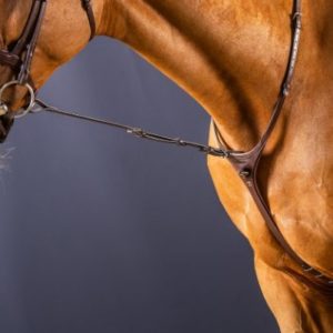 Dy'on New English Collection Standing Martingale Attachment