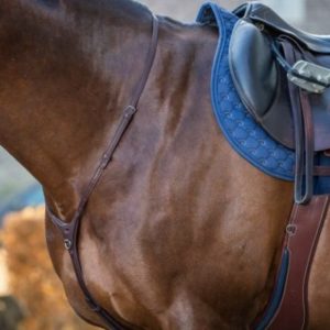 Dy'on New English Collection Yoke