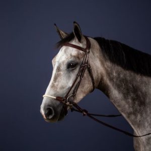 Dy'on New English Collection Drop Rope Noseband Bridle
