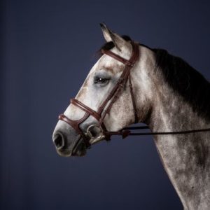 Dy'on New English Collection Double Noseband Bridle