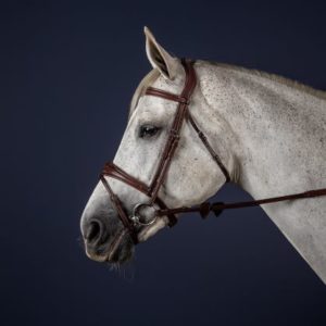 Dy'on New English Collection Anatomic Flash Noseband Bridle