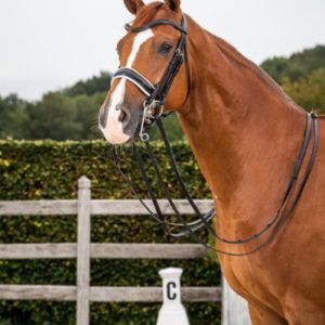 Dy'on Flat Dressage Collection Large Crank Patent Noseband with White Padding Double Dressage Bridle