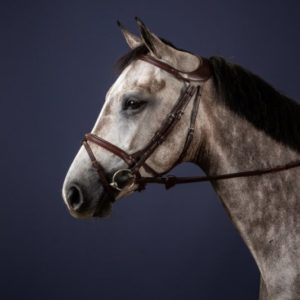 Dy'on New English Collection Difference Flash Noseband  Bridle