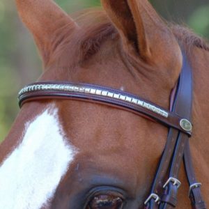 Dy'on New English Collection Silver Clincher Straight Browband
