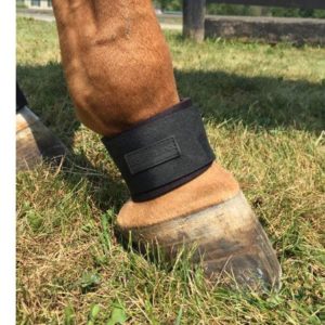 EquiFit Pastern Wrap