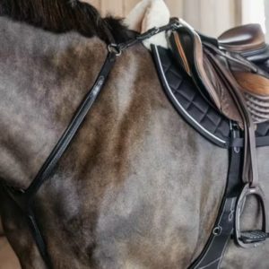 Dy'on New English Collection Plaited Bridge Breastplate