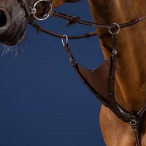 Dy'on US Jumping Collection Soft Bib Martingale Attachment