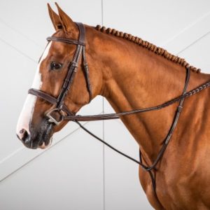 Dy'on Hunter Collection Standing Martingale