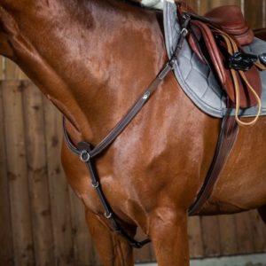 Dy'on Working Collection Breastplate