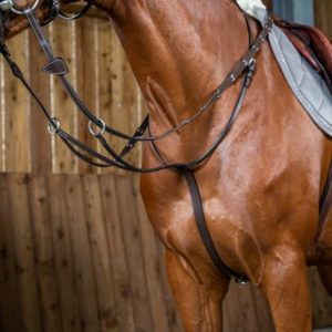 Dy'on Working Collection Running Martingale