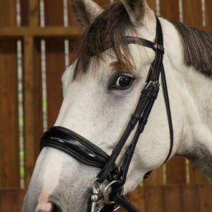 Dy'on Working Collection Large Crank Patent Noseband Double Dressage Bridle