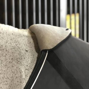 EquiFit Wither Shield