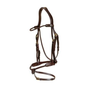 Dy'on Plaited flash noseband bridle