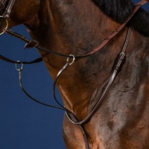 Dy'on Running martingale