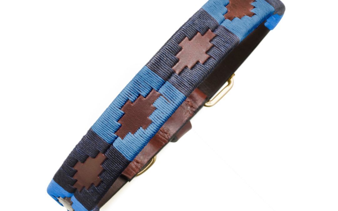 Pampeano Azules Dog Collar vs. Competitors: A Deep Dive