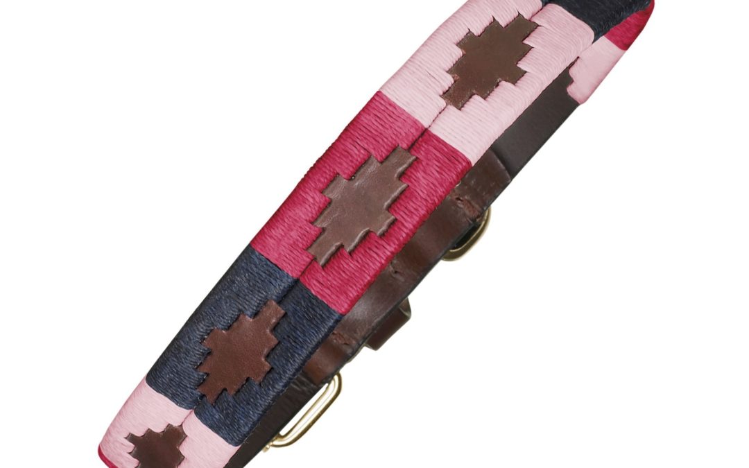 Why Pampeano Petalo Premium Leather Dog Collar Stands Out