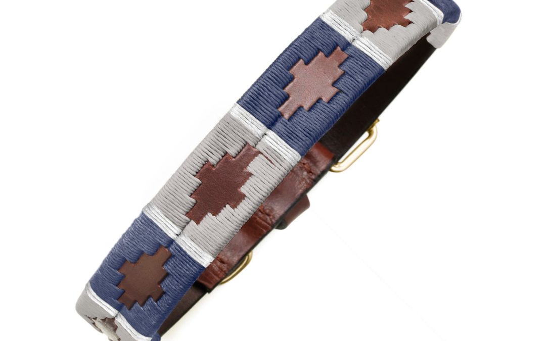 Pampeano Piedra Dog Collar: Best Leather Options Compared